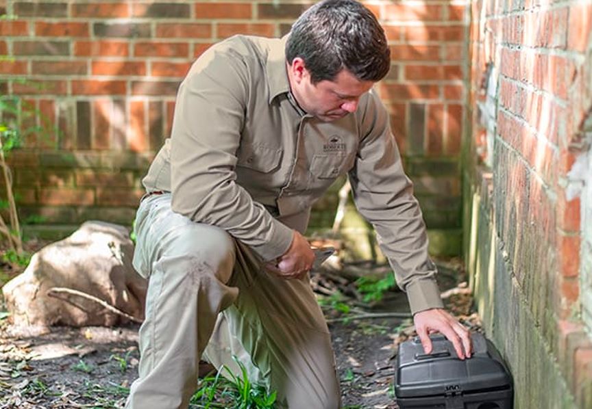 Residential Pest Control